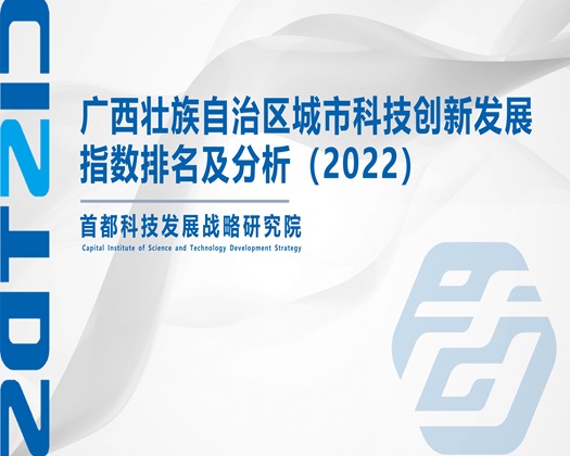 干屄免费观看【成果发布】广西壮族自治区城市科技创新发展指数排名及分析（2022）